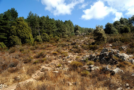 Landscapes of Limbara mountainの写真素材