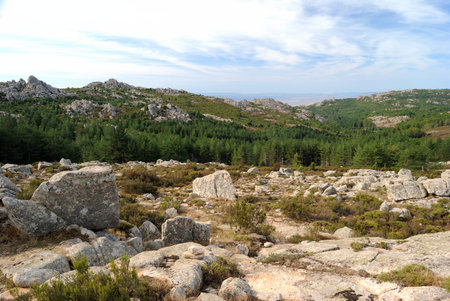 Landscapes of Limbara mountainの写真素材