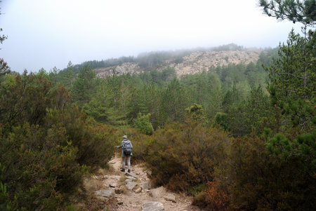 Landscapes of Limbara mountainの写真素材