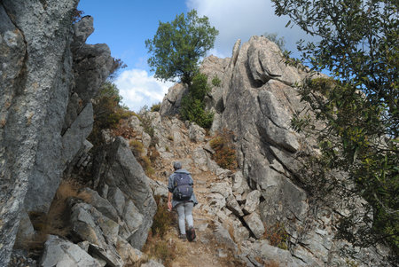 Landscapes of Limbara mountainの写真素材