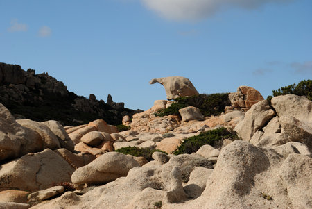 The coast of Punta Marmorataの写真素材