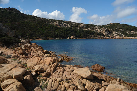 The coast of Capo D'Orsoの写真素材