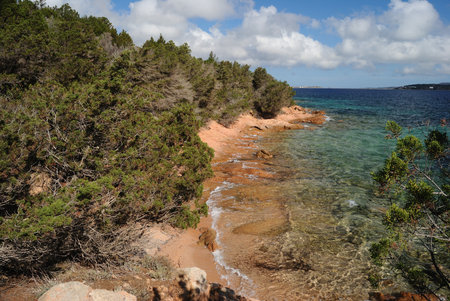 The coast of Capo D'Orsoの写真素材