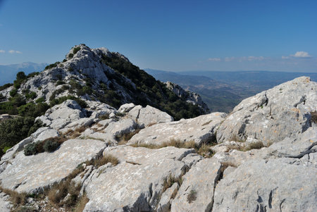 View of Monte Tuttavistaの写真素材