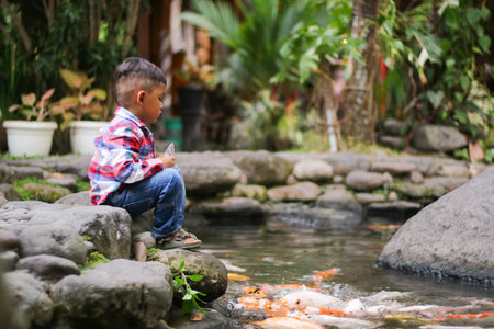 Asian kid sitting on the aged wooden pier, feeding Koi carp fish in the pond.の写真素材
