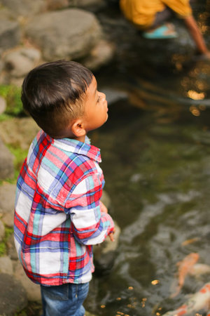 Boy feeding koi fish in a koi pondの写真素材