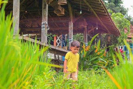 Asian Child play and learn about natural in planted rice, select focusの写真素材