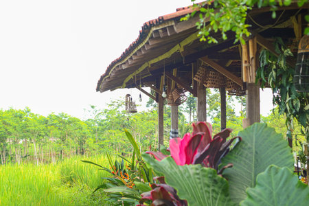 Cafe with a view of natureの写真素材