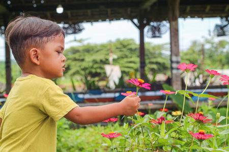 An adorable asian toddler gazes with curiosity at blossoming flowers in a european garden during a family vacationの写真素材