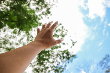 Hand reaching towards the sky.の写真素材