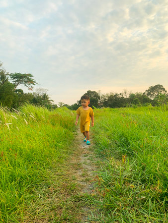 little boy is playing in high weedの写真素材
