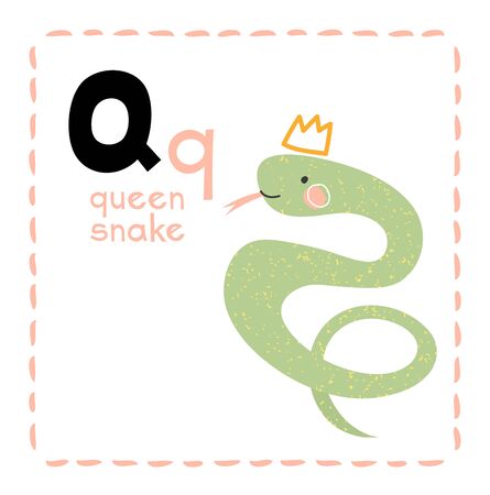 Alphabet letter Q for Queen Snake for teaching kids with upper and lower case letters alongside a little cute Queen Snake, educational vectorのイラスト素材