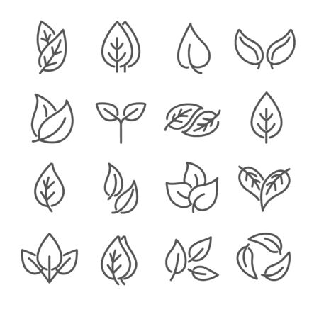 Selection of black and white sketched eco leavesのイラスト素材