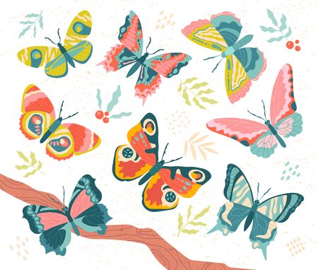 Collection of elegant butterflies isolated on whiteのイラスト素材