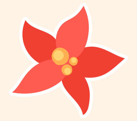 Bright red festive poinsettia flowerのイラスト素材