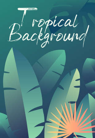 Cover Design with lush green tropical plantsのイラスト素材