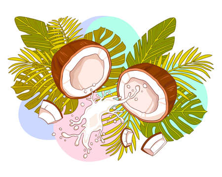 Fresh coconut split open with splashing milkのイラスト素材