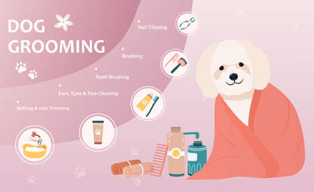 Dog grooming conceptのイラスト素材