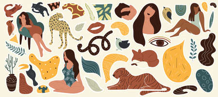 Set of hand drawn cat, fox, snake, women, plantsのイラスト素材