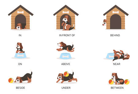 Set of English prepositions as shown by a cute cartoon dogのイラスト素材
