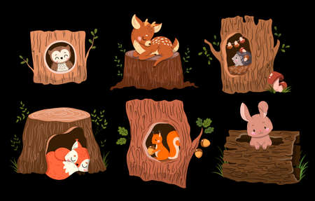 Set of 6 adorable forest animals in or on tree trunksのイラスト素材