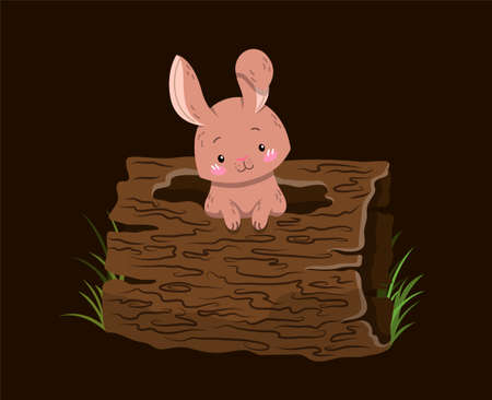 Cute little woodland or forest creatures poster design with hareのイラスト素材