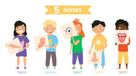 Funny five Senses concept with human organsのイラスト素材