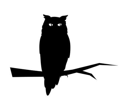 owl on white backgroundのイラスト素材