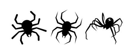 spiders on white backgroundのイラスト素材
