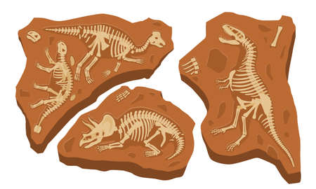 Stones with bones of prehistoric reptilesのイラスト素材