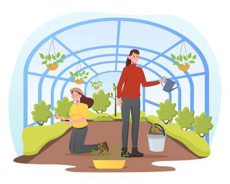 People gardening, florist look after seedlingsのイラスト素材