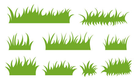 Set of drawn green grass on white backgroundのイラスト素材
