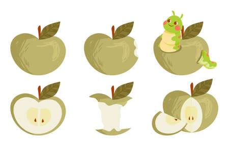 Set of green ripe apple collections whole and bitten on white backgroundのイラスト素材