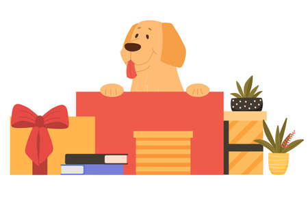 Cute happy dog is sitting in gift box on white backgroundのイラスト素材