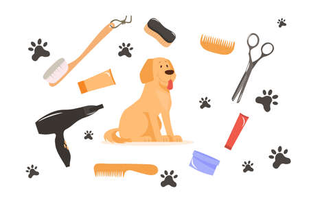 Set of grooming equipment for pet care salon on white backgroundのイラスト素材