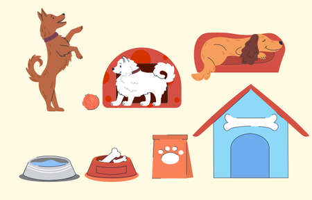 Set of different dog supplies on beige background. Food, toys, home, collar, leash, tag, bone. Concept of pet shop or store. Hand drawn colorful icons. Flat cartoon vector illustrationのイラスト素材