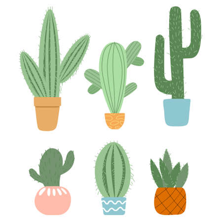Set of cute cactus and succulents in pots on white backgroundのイラスト素材