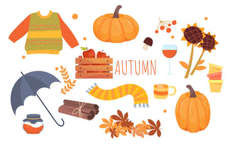 Set of cute autumn orange icons on white backgroundのイラスト素材