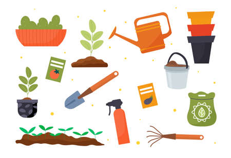 Set of gardening tools, seeds and seedlings on white backgroundのイラスト素材
