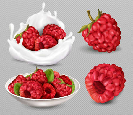 Cute set with raspberry berries and leaves on transparent backgroundのイラスト素材