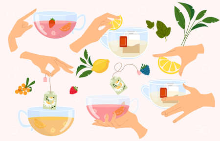 Set of women hands holding mug of teaのイラスト素材