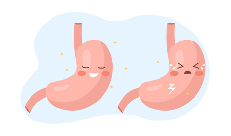 Smiling healthy stomach and sad sick stomach characterのイラスト素材