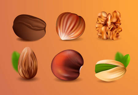 Collection of realistic nutsのイラスト素材
