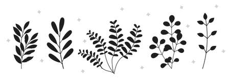 Collection of dark silhouettes of plantsのイラスト素材