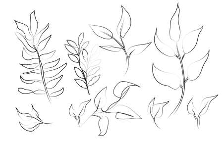 Set of leaves in line art styleのイラスト素材