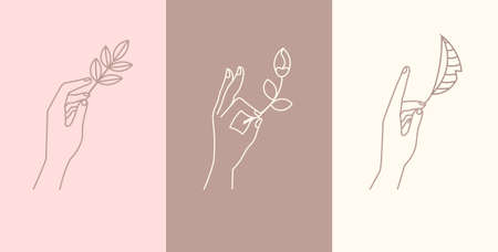 Minimalistic templatesのイラスト素材