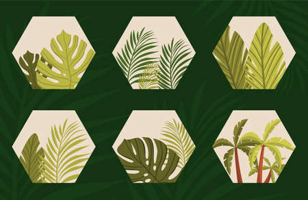Organic icons in hexagonのイラスト素材