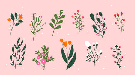 Collection of icons with plantsのイラスト素材