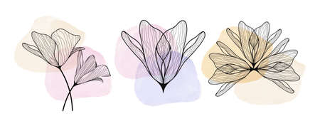 Floral pouring art geometric minimalistic print set on white backgroundのイラスト素材