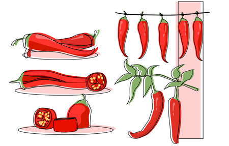 Set of chili pepper hanging and cut as a food ingredient on white backgroundのイラスト素材